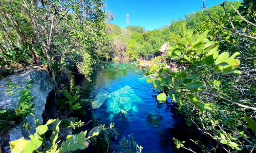Cenote Cristiáno bei Playa del Carmen: Ein magisches Unterwassererlebnis