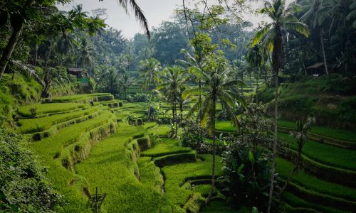 Indonesien